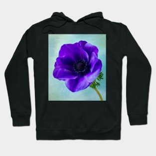 Beautiful Blue Anemone Flower Hoodie